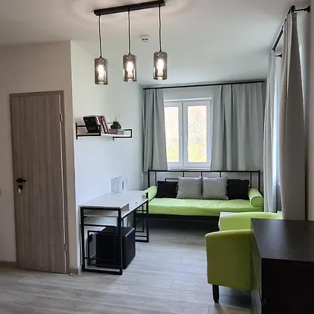 Loft House 3* Skhidnytsia