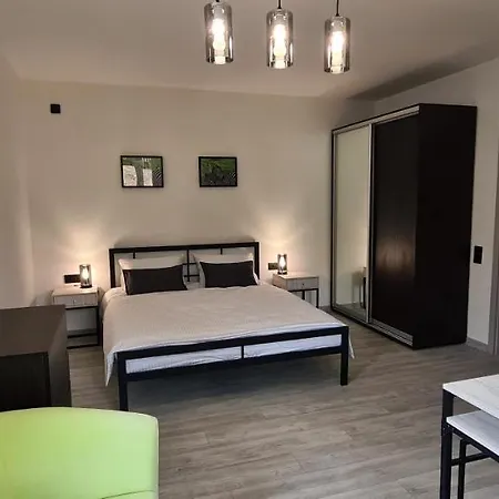 Loft House בית הארחה Skhidnytsia