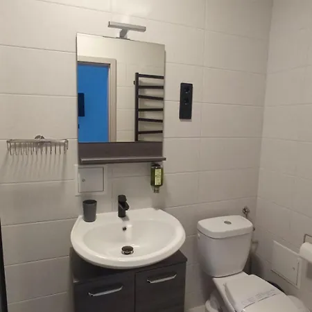 Loft House Skhidnytsia