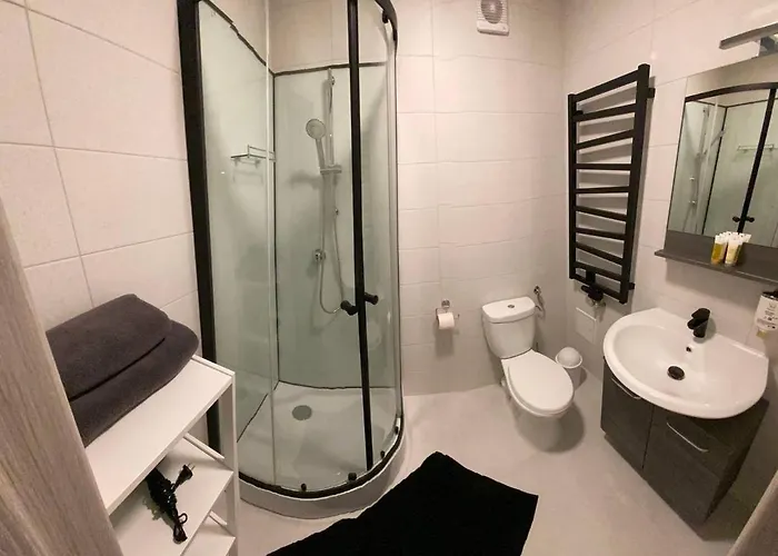 Loft House 3* Skhidnytsia