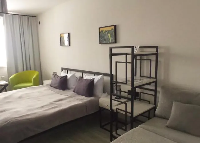 Loft House Skhidnytsia