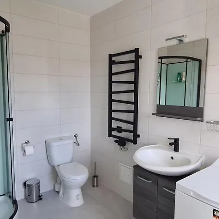 Loft House Skhidnytsia