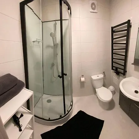 Loft House 3* Skhidnytsia