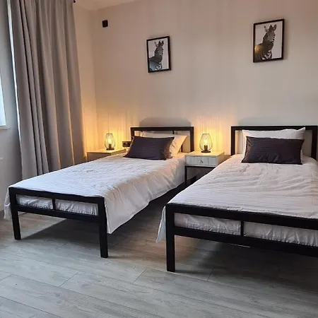 Loft House 招待所