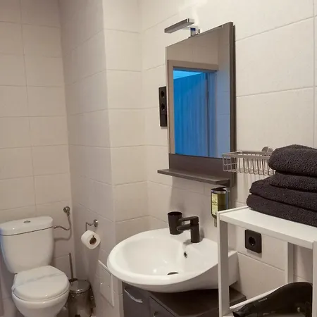 ゲストハウス Loft House Skhidnytsia